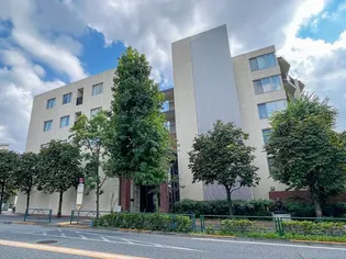 ザ ライオンズ杉並善福寺川緑地の画像
