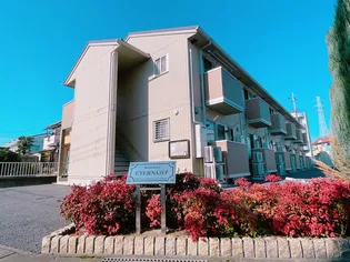 ETERNA宮子の画像