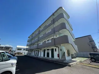 リベルテイシダの画像