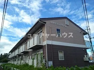 アベニューKの画像