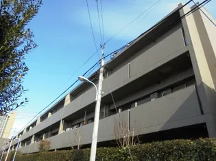 エルシア中野の画像