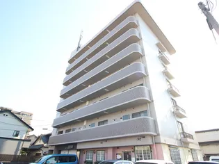 プレジデントモリスの画像