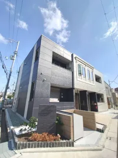 SCHAAN CARTERの画像