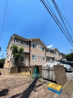 コーン ガーデンの画像