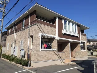 すいせんの画像