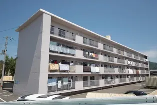 橋川マンション1【1階】の外観