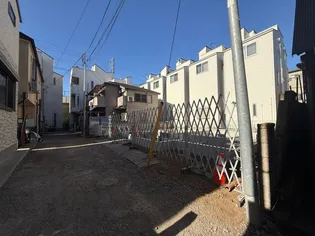 PERSIMMON TREEの画像