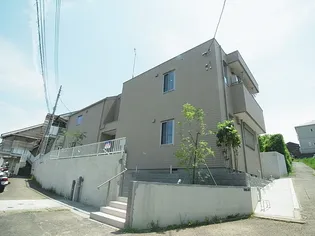 MAISON DE LUMIEREの画像