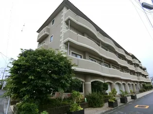 ジェイ ジルーBの画像