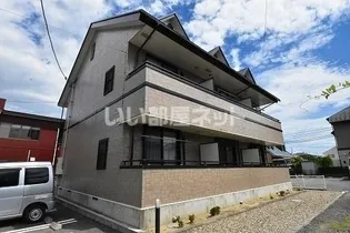 エヴァーグリーンの画像