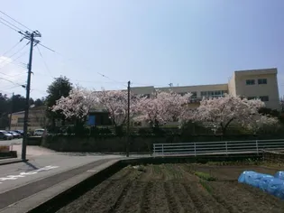 サンクレール【2階】の周辺