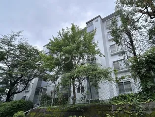 宮前平グリーンハイツ45号棟【5階】の外観