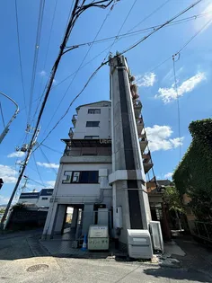 ロジェール観月の画像