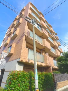 コンフォール ノグチの画像