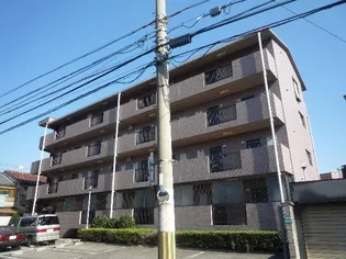 プリミエール白鷺【3階】の外観