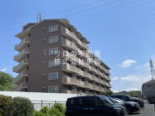 モンテヴェルデNー1の画像