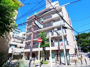 ステラトーレの画像