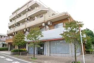 シューティングスターの画像