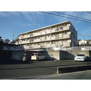 ソシア向平の画像