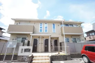 ルート Yの画像