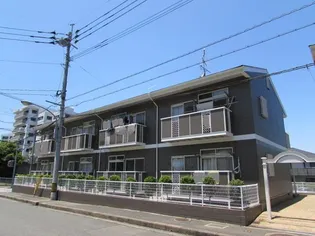 光IIの画像