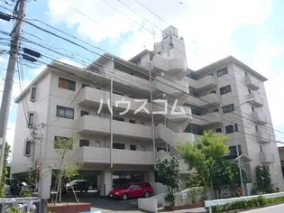 フェステ菊屋第6の画像