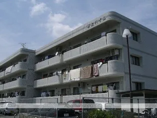 野上ハイムの画像