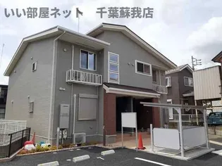 イリスの画像