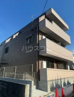 フェリチタの画像