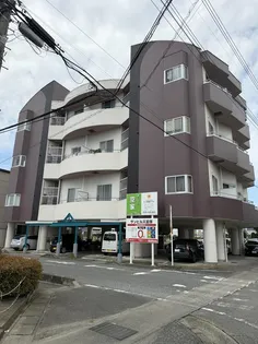 サンヒルズ富塚【フリーWiFi付物件】【3階】の外観