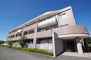 エバーグリーンの画像