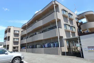 モア クレストの画像