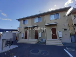 シャルマンの画像