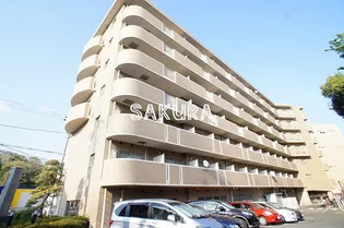 クレール矢沢の画像