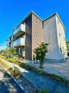 べレオ大財の画像