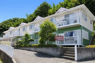 ピュアコートIIの画像