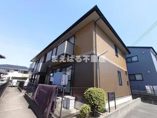 エレガンスの画像