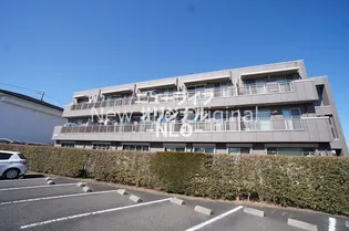 ボーフルーヴナガセの画像