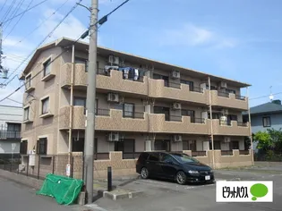 ペガサスMの画像