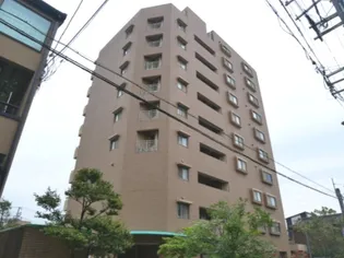 ラフィール心音の画像