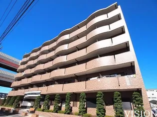 プラシードの画像