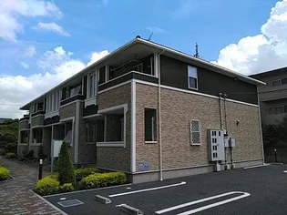 ヴェルテブラの画像