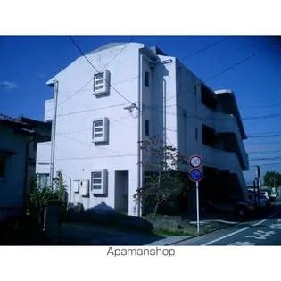 ホーキーポーキーの画像