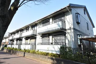 ラフィネFの画像