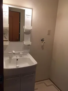 リアン花ヶ島【3階】の内装