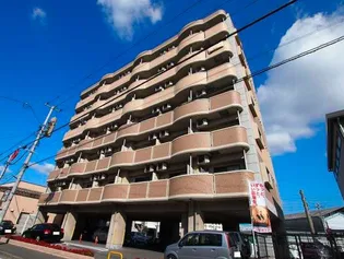 エヴァーグリーンMの画像