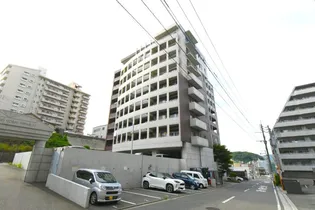 THE SQUARE 紅梅 プレミアムの画像