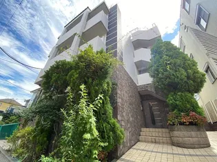 スペランツァの画像