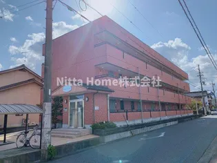 グレース パラシオンの画像