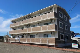 アネシスの画像